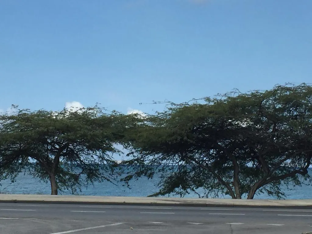 E Cas Di Zoe Apartman Oranjestad